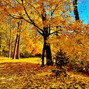 Meet your Posher, June